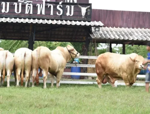 สมบัติฟาร์ม มนัส